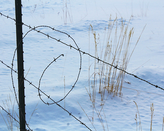 Property Line