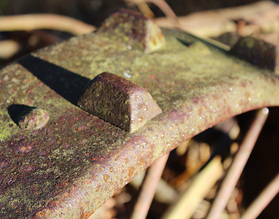 Wheel with Dew