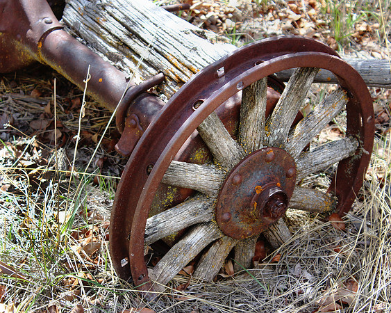 Wheel