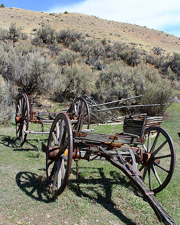 Wagon Bones