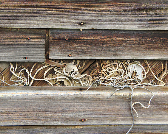 Living Siding